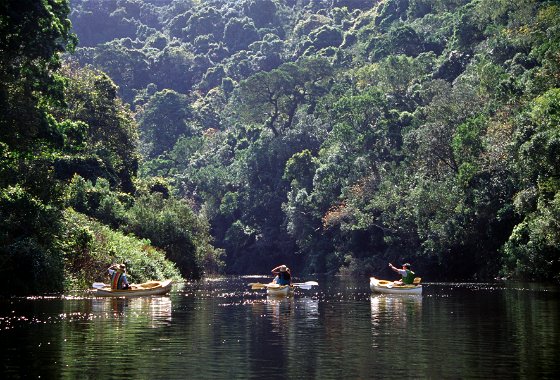 Touws River canoeing
