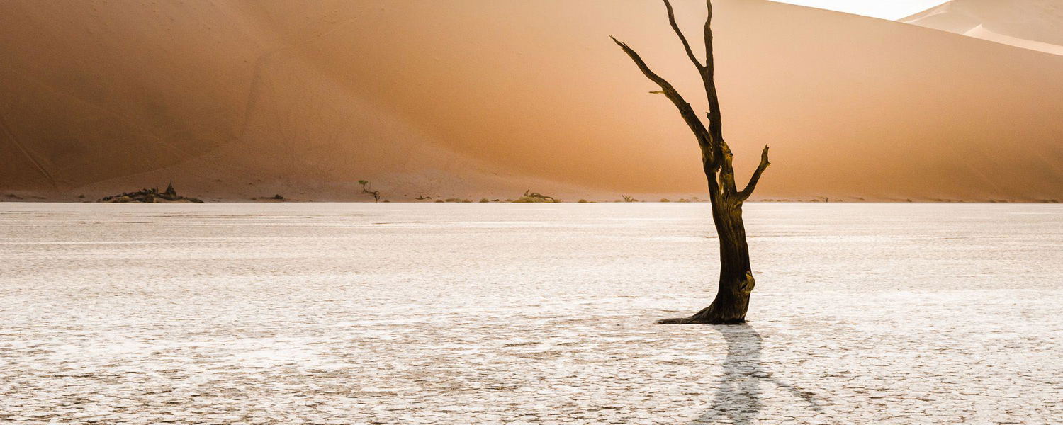 The iconic Sossusvlei in Namibia