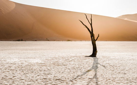 Namibia: Sossusvlei, Damaraland, Himba and Etosha