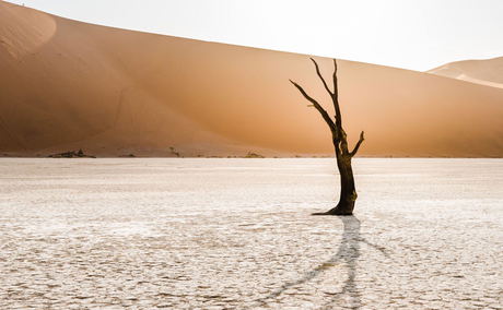 The iconic Sossusvlei in Namibia The iconic Sossusvlei in Namibia