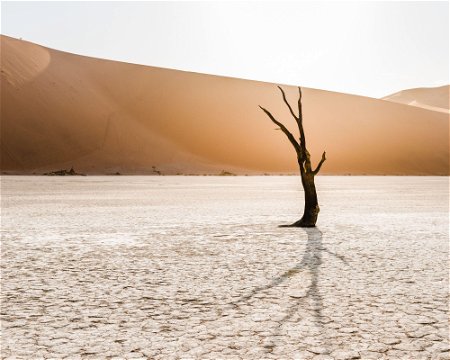 The iconic Sossusvlei in Namibia
