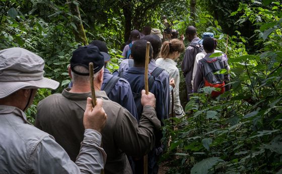 Highlights of Uganda