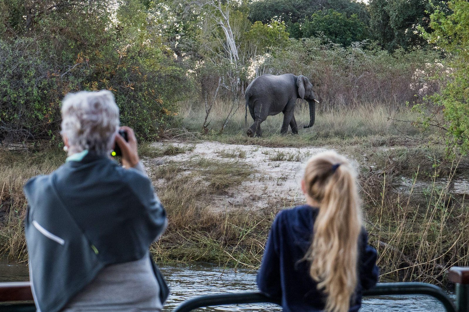 Safari Planning