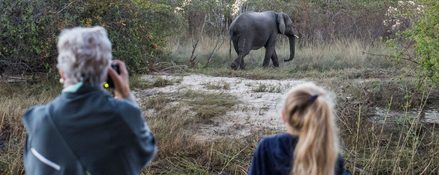 Safari Planning