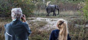Mozambique & Kruger Photo Workshop with Tate Drucker 16-27 July 2022