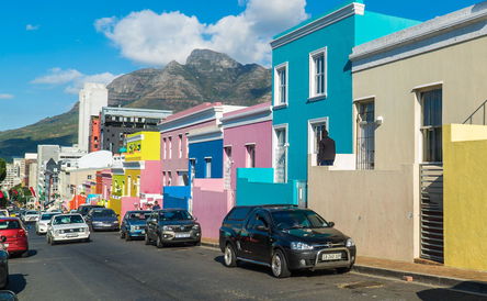 South Africa Safari 1