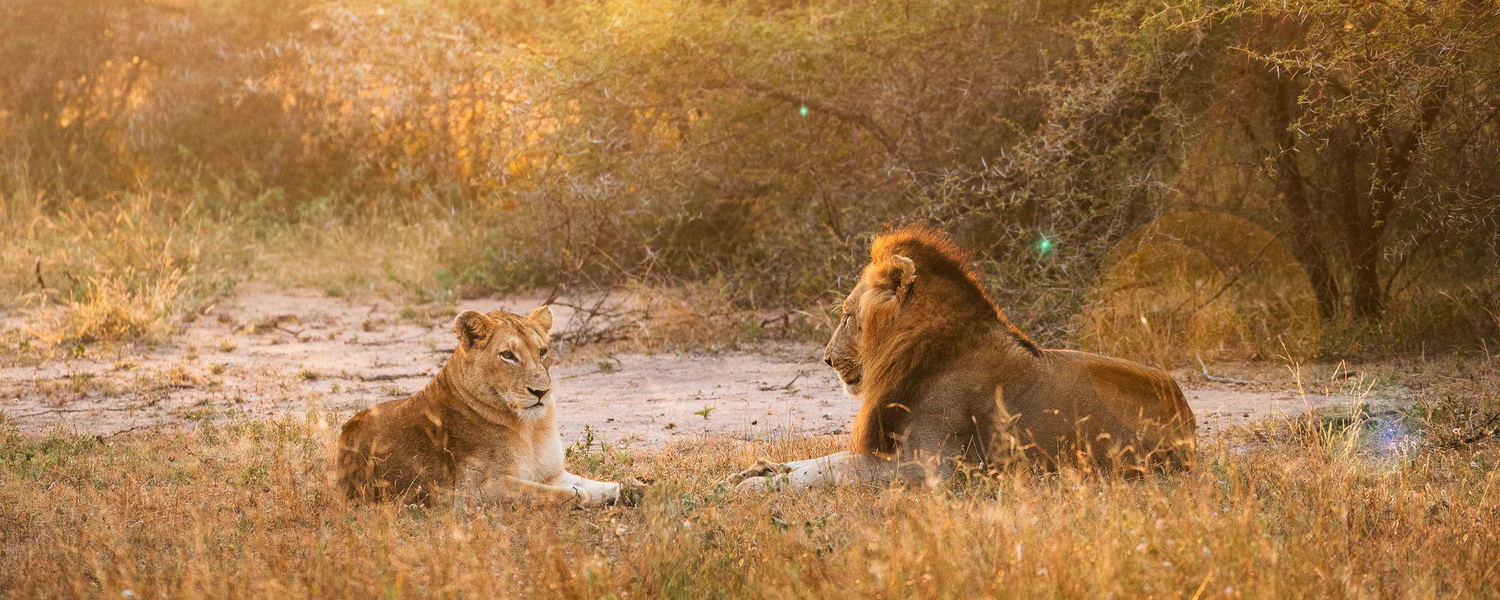 South Africa