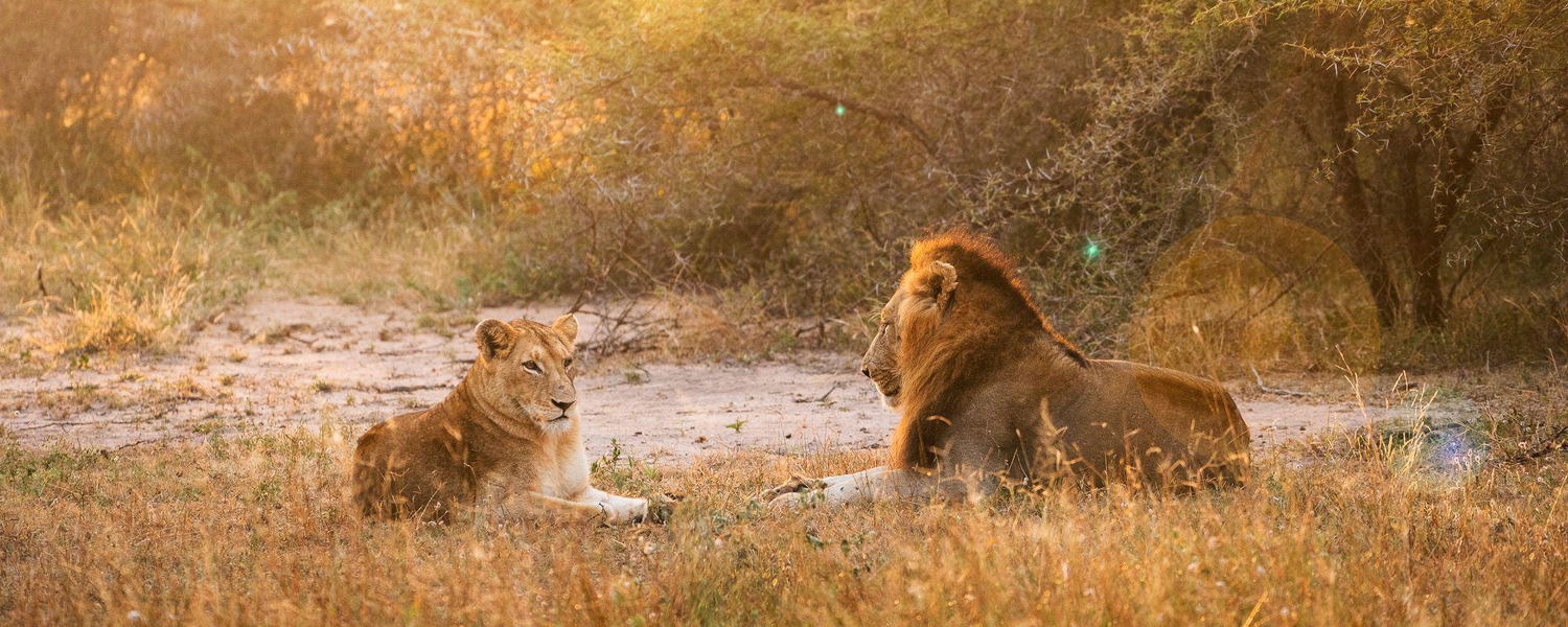 Kruger