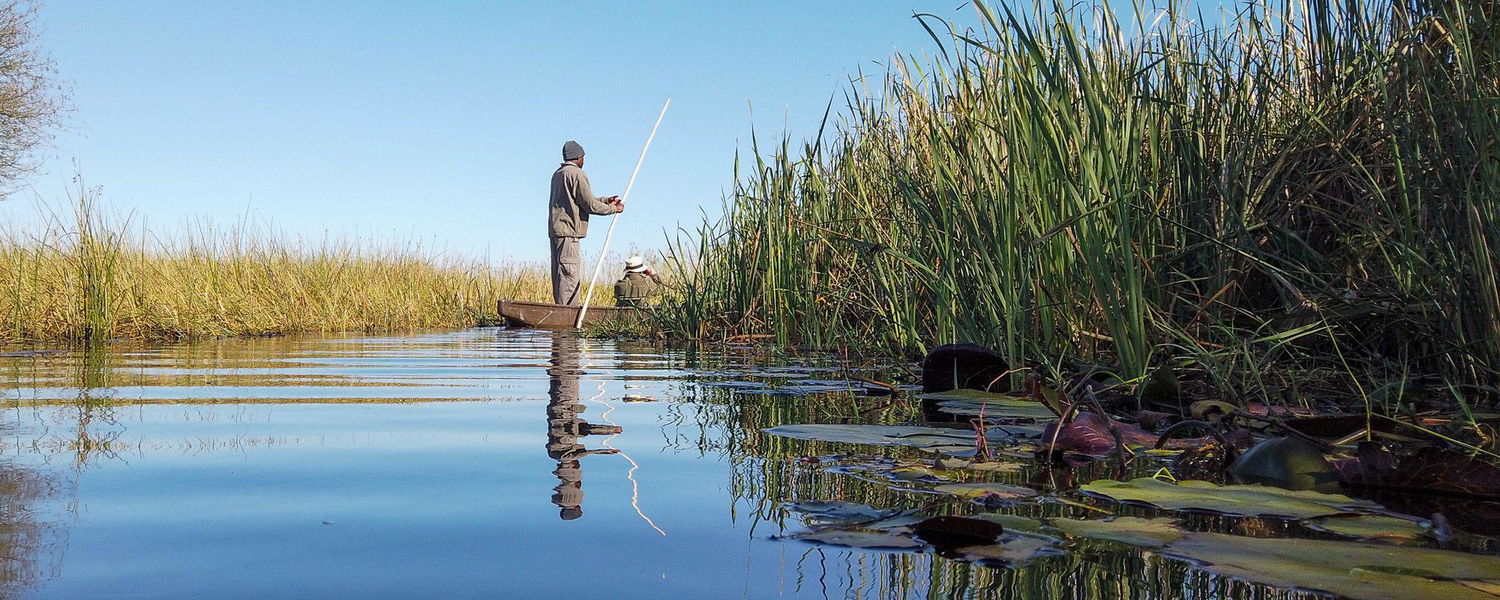Guided canoeing in the Okavango Delta