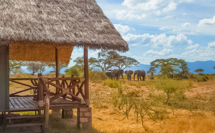 Tanzania and Zanzibar Beach & Safari