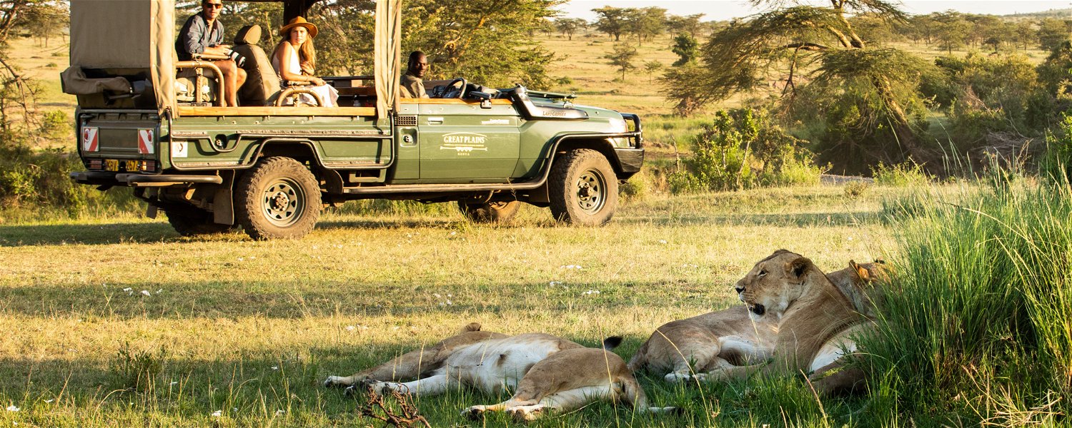 Experiential Travel.  Lions slumber in the afternoon, making them relatively easy to find and observe quietly without disturbing them in the Maasai Mara, Kenya.