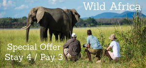 Wild Africa, Unfiltered – With a Special Offer at Tembo Plains