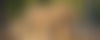 Photographers in Mana Pools