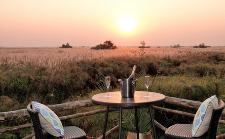Safari in Botswana and Zimbabwe