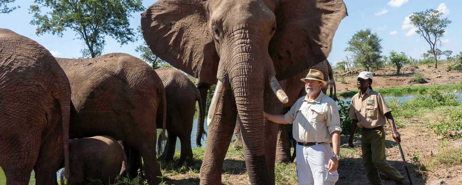 Neville Jones with adoption herd at the Victoria Falls Wildlife Trust