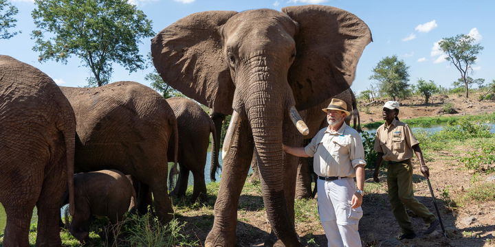 Neville Jones with adoption herd at the Victoria Falls Wildlife Trust