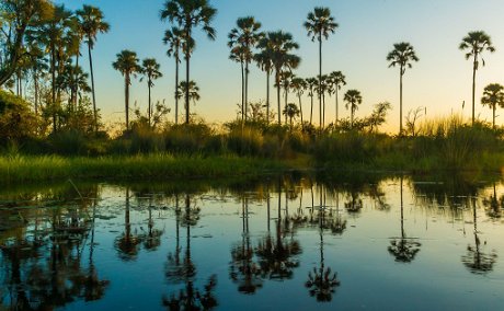 Tranquil lagoon high in the Okavango Delta, Botswana