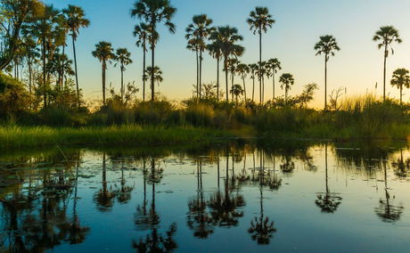 Tranquil lagoon high in the Okavango Delta, Botswana Tranquil lagoon high in the Okavango Delta, Botswana