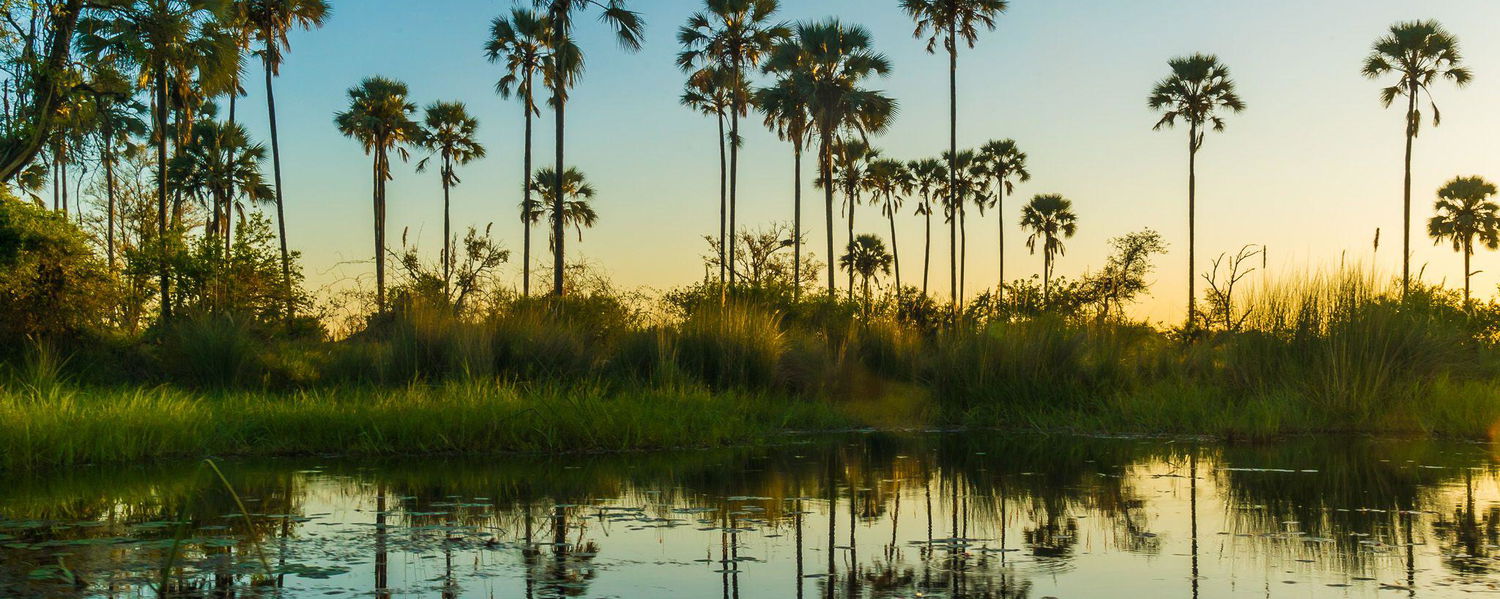 Tranquil lagoon high in the Okavango Delta, Botswana