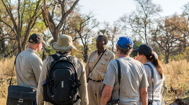 Walking safaris