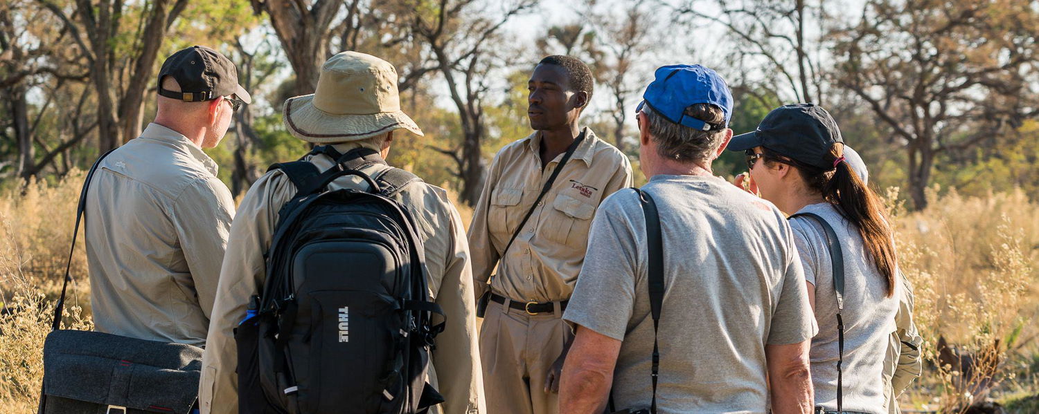 Walking safaris