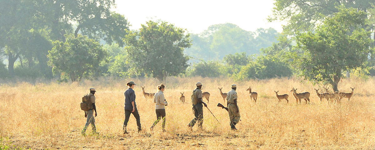 Zambia