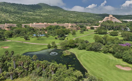 Legends of the Fairway: Golf and Safari in South Africa