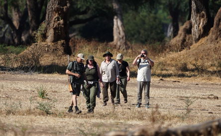Walking Safaris