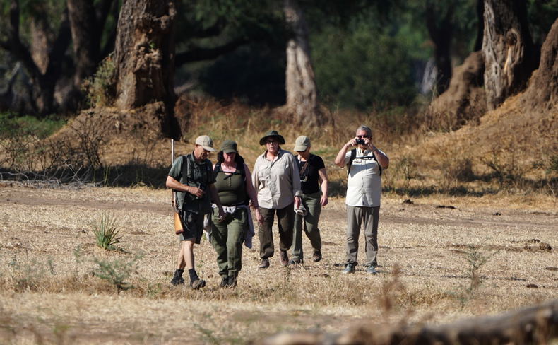 Walking safaris Walking safaris