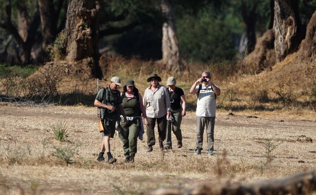 Walking safaris Walking safaris