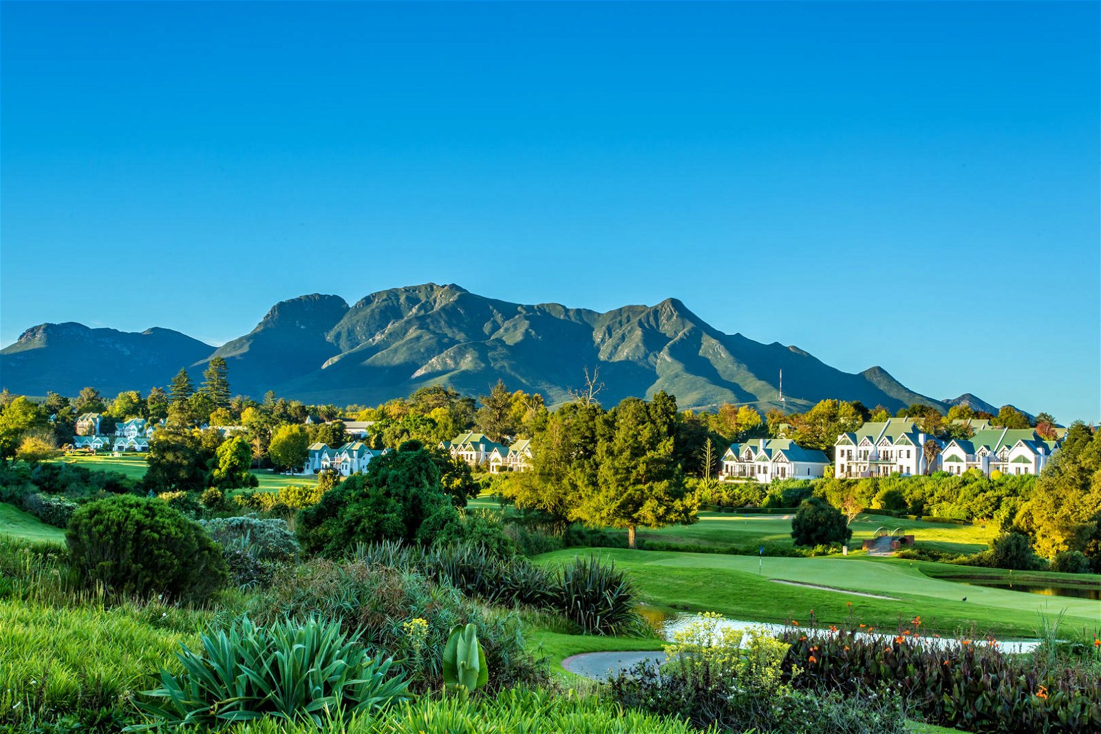 Fancourt 1