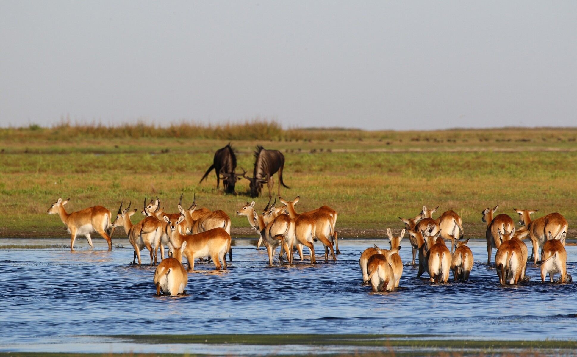 Liuwa Plain Safari