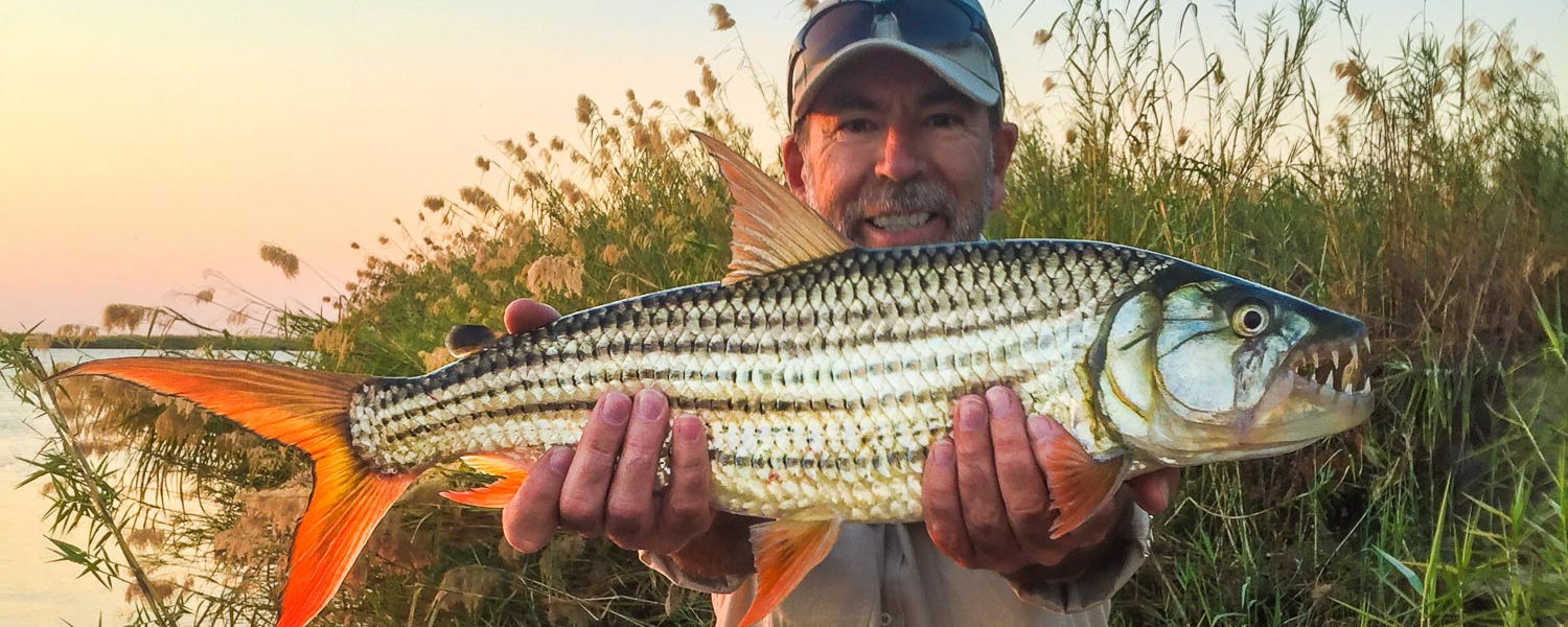 Neville Jones with tiger fish caught and release on an Experiential Travel tour in Zambia