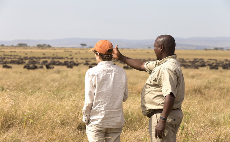 Walking safaris