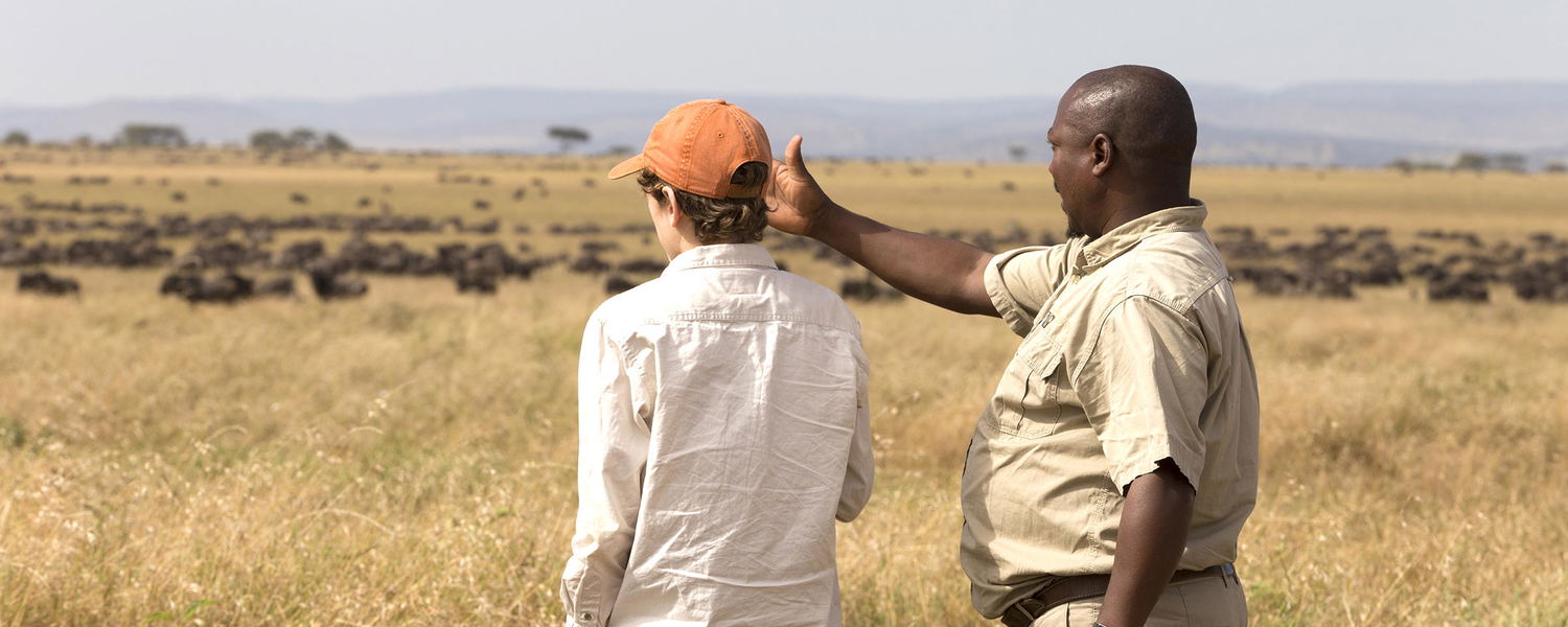 Walking safaris