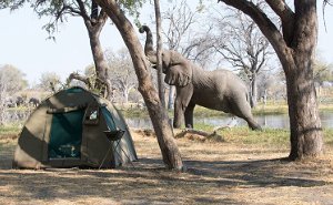 Extended Botswana Classic Safari