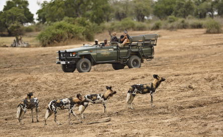 Zambia - Zambezi to Luangwa