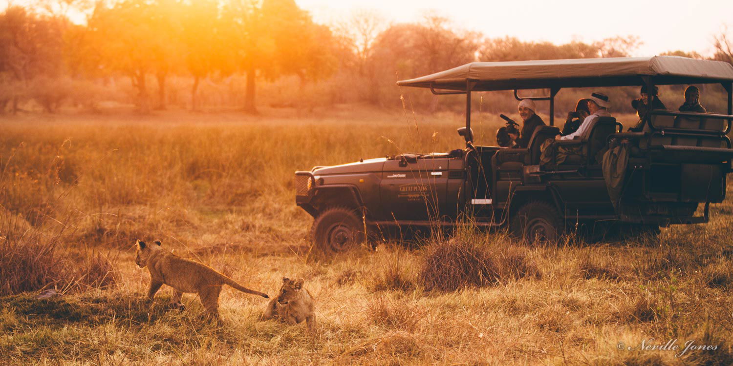 Early morning game drive in Botswana