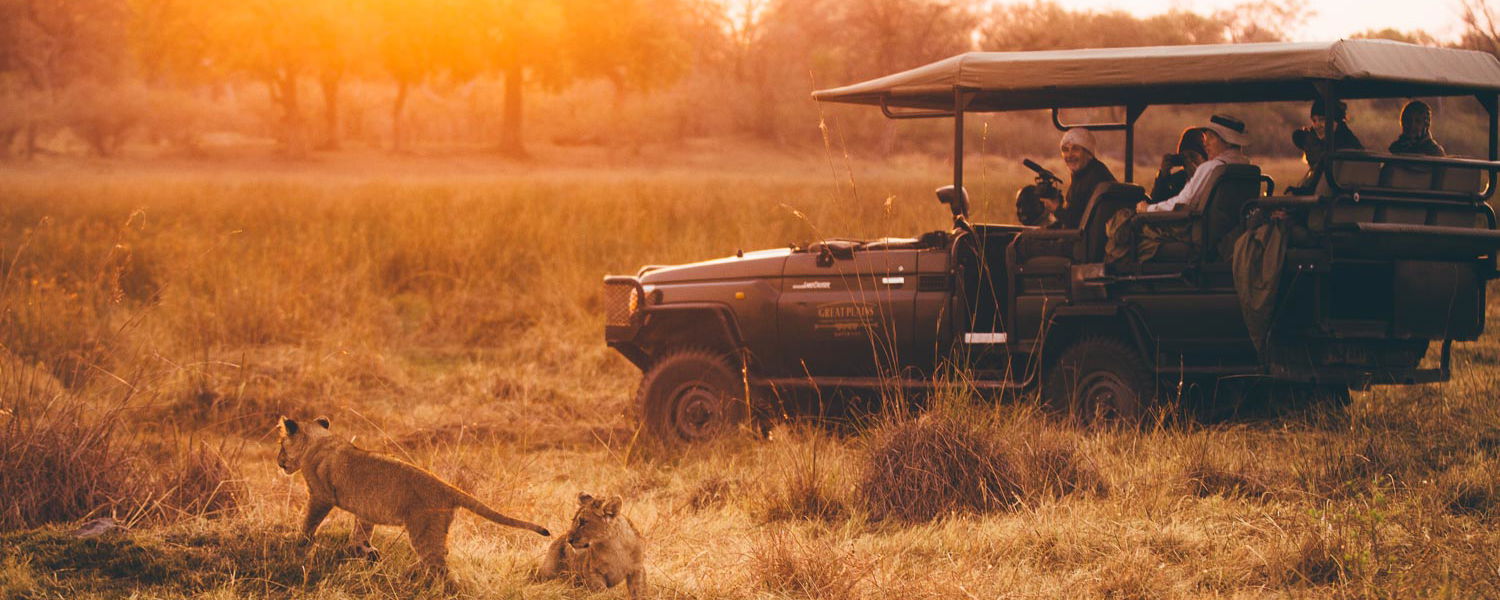 Early morning game drive in Botswana