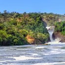Murchison Falls, where the Nile forces its way through a narrow gorge, Uganda