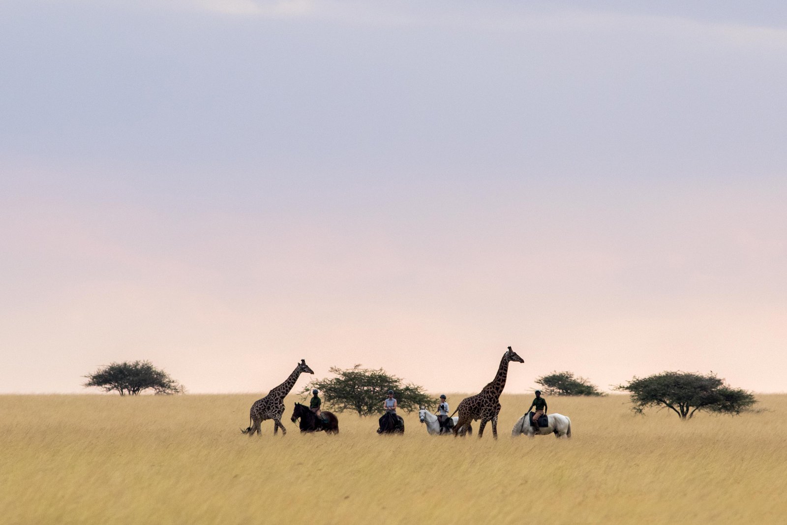 Horseriding in Kenya