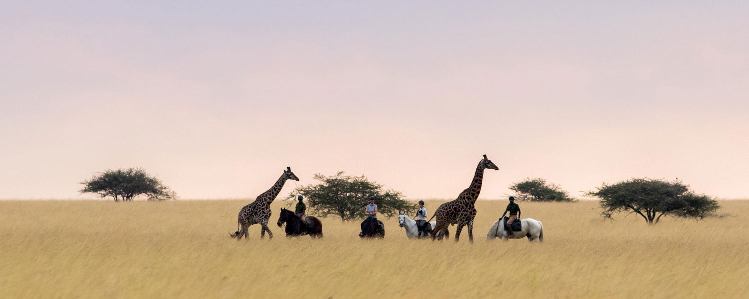 Horseriding in Kenya
