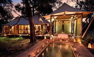 Luxury in Botswana and Rwanda