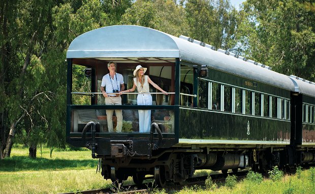 View Africa from the Rovos Observation Car