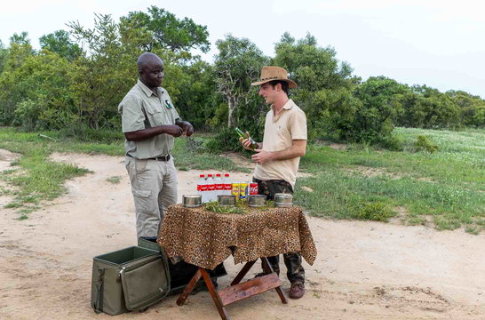 Drinks stop on a game drive from Tangala Safari Camp Drinks stop on a game drive from Tangala Safari Camp
