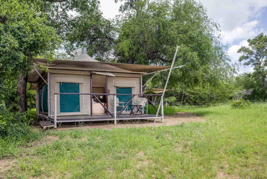 Safari tent at Tangala Safari Camp, Thornybush Game Reserve Safari tent at Tangala Safari Camp, Thornybush Game Reserve