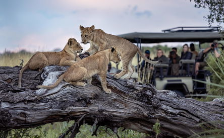 Extraordinary Botswana!