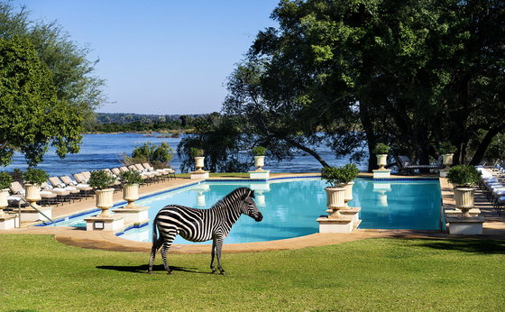 5% OFF our Best Value Safari