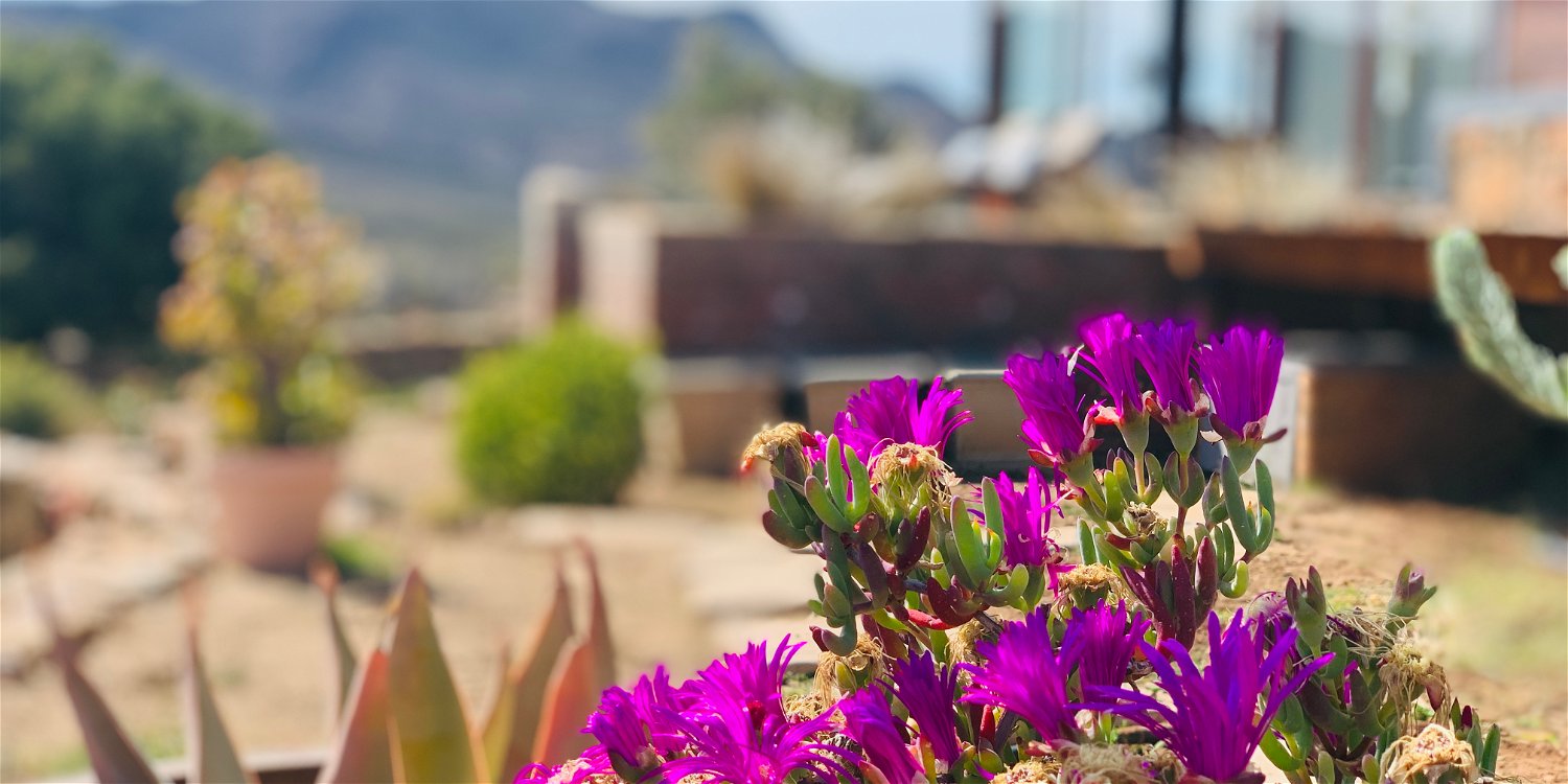 Winter in the Karoo