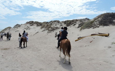 Cape Town Tour - 4 Day